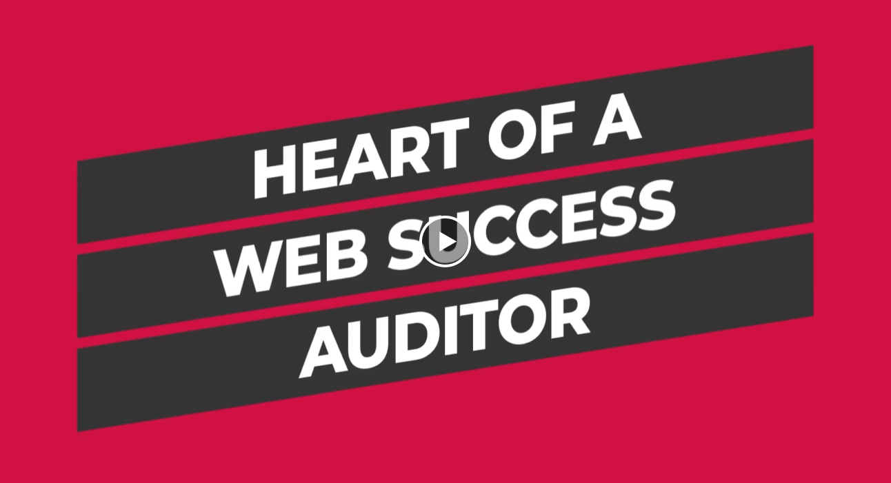 Client Web Success Auditor Video