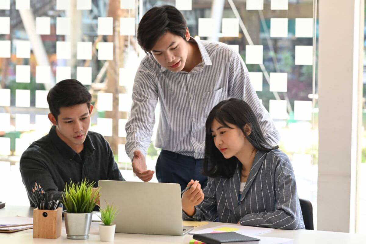 SEO Specialist and Provider